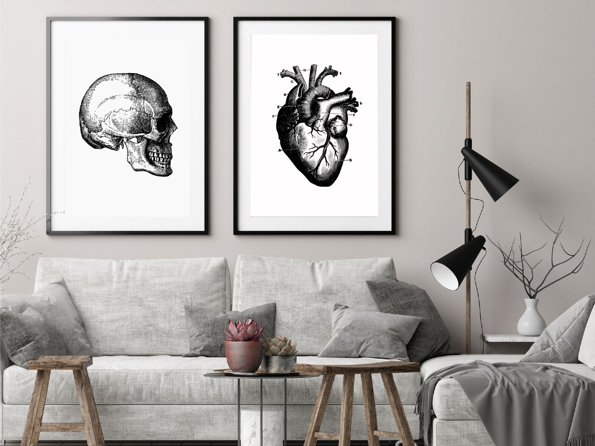 Heart Anatomical Illustration Print Black and White Wall Art | Etsy