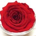 Timeless Rose Keychain - Red - Etsy