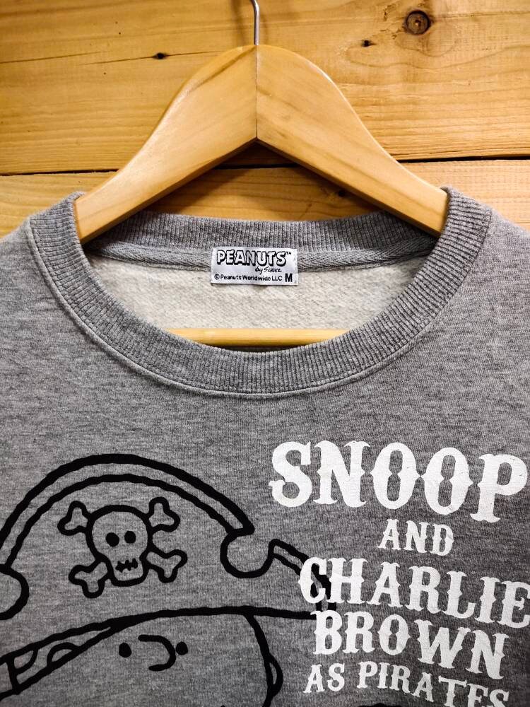 Vintage SNOOPY & CHARLIE Brown as Pirates Cartoon Character