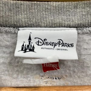 May include: A white tag with the text "Disney Parks Authentic Original" and a graphic of Cinderella's castle. A red tag with the text "Hanes" is below the white tag.