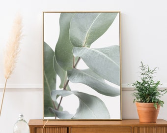 Eucalyptus Wall Art, Australian Botanical Wall Art, Digital Download, Australian Native Photo Print, Printable Poster, Gum Leaf print