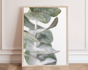 Eucalyptus Wall Art, Australian Botanical Wall Art, Digital Download, Australian Native Photo Print, Printable Poster, Gum Leaf print