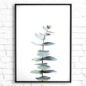 Eucalyptus Print, Botanical Wall Art, Printable Poster, Digital Download, Australian Native Photography, Silver dollar leaf print, Gum Leaf