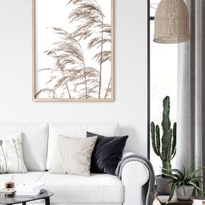 May include: A framed print of a minimalist botanical illustration featuring tall, brown grasses against a white background. The print is displayed on a white wall above a white sofa with pillows and a throw blanket.