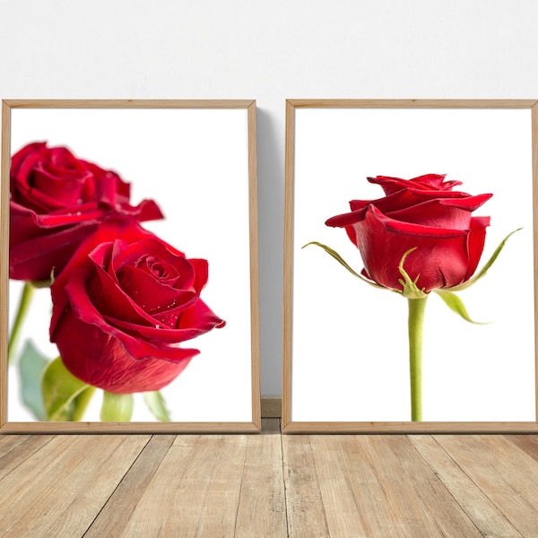 Red Rose Wall - Etsy