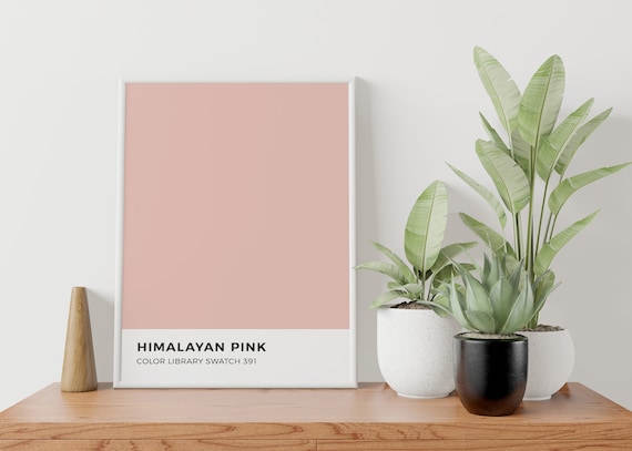 Pastel Pink Color Swatch Poster Pink Wall Art Cute Printable Wall Decor Color Sample Aesthetic Poster Himalayan Sea Salt Pink Girly Decor Etsy Canada