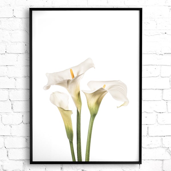 Calla Lily Wall Art Etsy