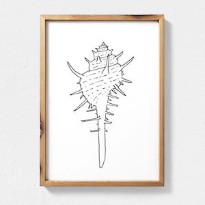Line Art Modern Beach Decor, Seashell Line Drawing, Coastal Wall Art, Beach Printable Wall Art, Shell Illustration, Surf Art, Nautical Decor