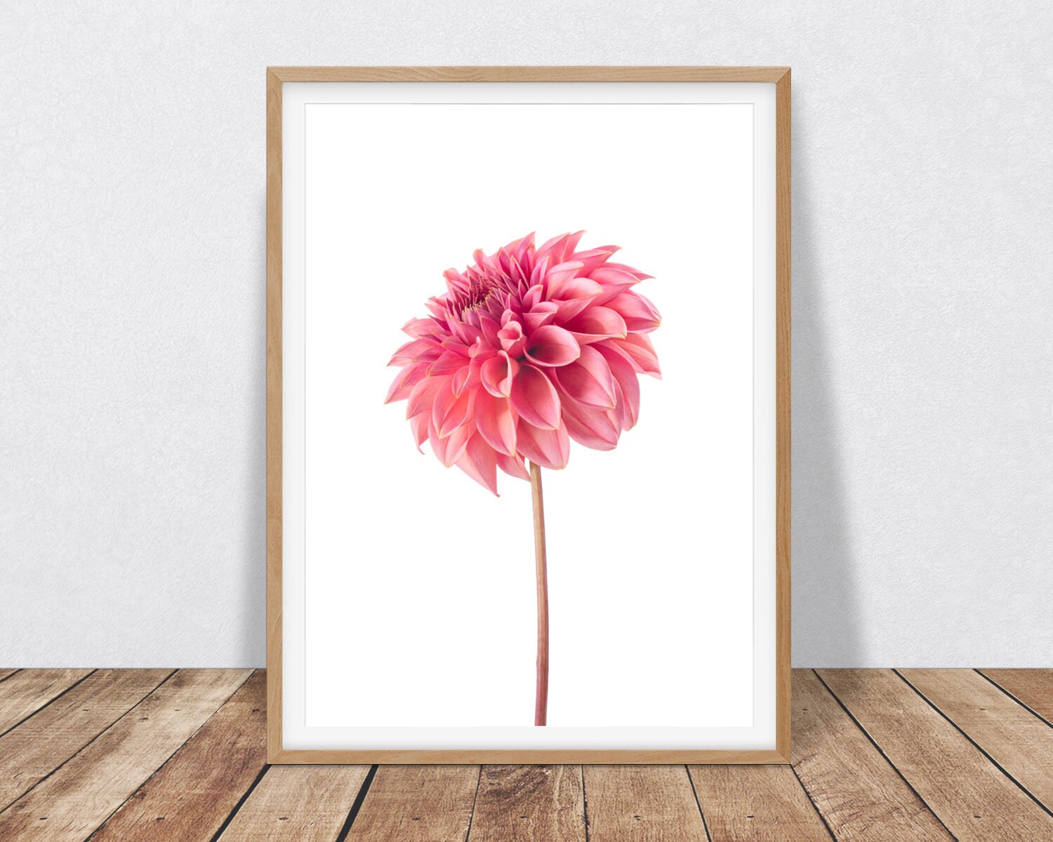 Dahlia Flower Photography, Flower Wall Art Blush Pink Decor, Botanical ...