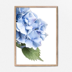 Blue Hydrangea Print, Printable Wall Decor Blue Flower Wall Art, Blue Hydrangea Photo Digital Download, Soft Blue Decor, Flower Photograph