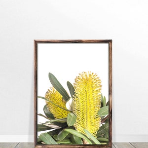 Op de afbeelding: Een ingelijste print van een gele bloem met groene bladeren op een witte achtergrond.