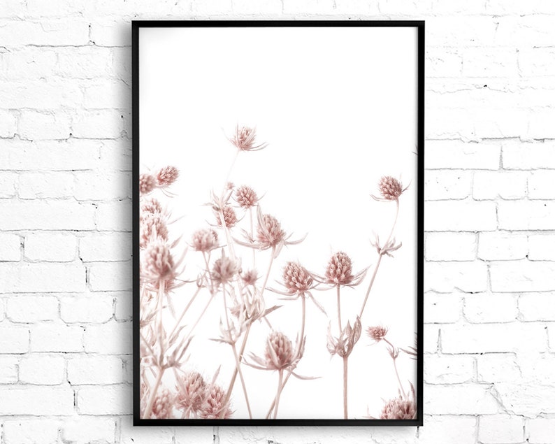 K&ouml;nnte beinhalten: Ein gerahmter Druck einer botanischen Illustration mit zarten, getrockneten rosa Bl&uuml;ten vor wei&szlig;em Hintergrund.