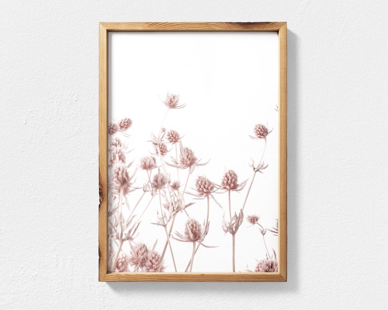 K&ouml;nnte beinhalten: Ein gerahmter Druck einer botanischen Illustration mit zarten rosa Bl&uuml;ten auf wei&szlig;em Hintergrund.