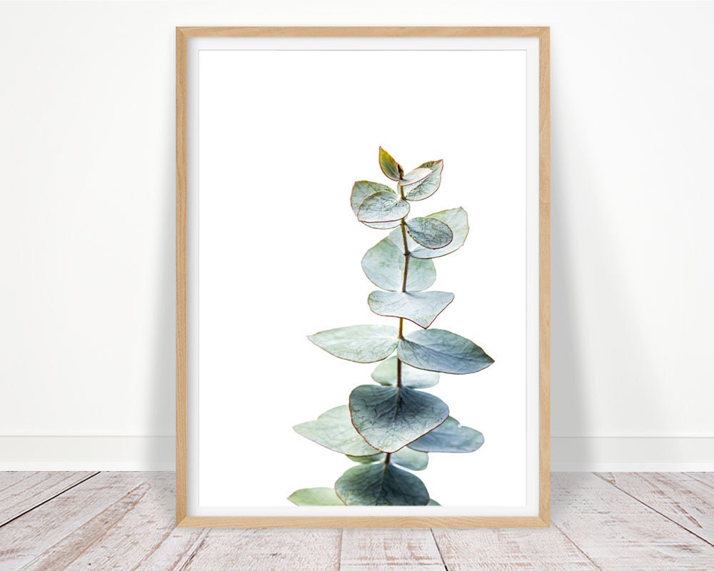 Eucalyptus Print Botanical Wall Art Digital Download Etsy