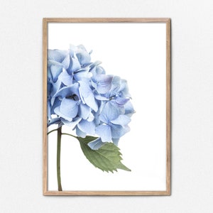 Blue Hydrangea Print, Printable Wall Decor Blue Flower Wall Art, Blue Hydrangea Photo Digital Download, Soft Blue Decor, Flower Photograph