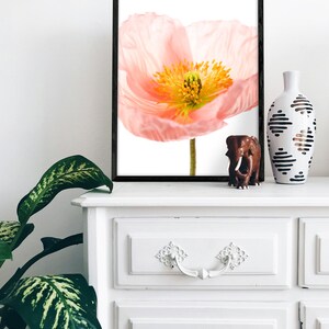 May include: A framed print of a single pink poppy flower with a white background. The flower is in focus and the background is blurred.