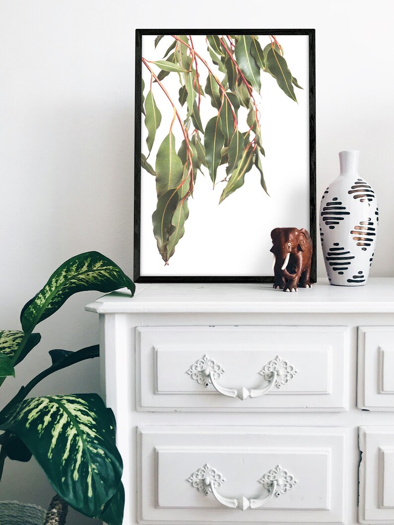 Botanical Printable Wall Art Eucalyptus Print Australian Etsy Australia