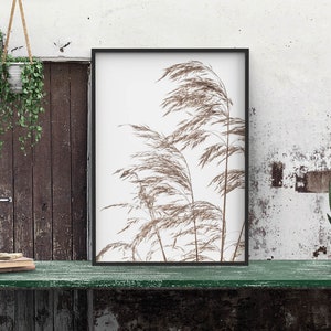 May include: A framed print of a black and white photograph of tall grass blowing in the wind. The print is hanging on a white wall with a wooden door and a hanging plant to the left. A green table with a potted plant and a stack of books sits in front of the print.