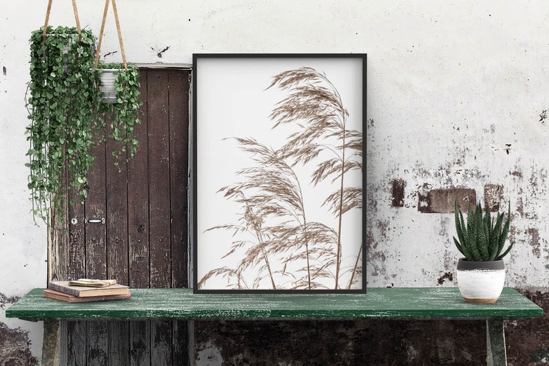 May include: A framed print of a black and white photograph of tall grass blowing in the wind. The print is hanging on a white wall with a wooden door and a hanging plant to the left. A green table with a potted plant and a stack of books sits in front of the print.