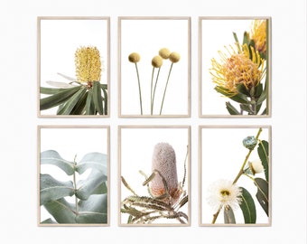 Australian Native Florals Set of 6 Prints, Botanical Wall Decor, Protea Flower Gallery Wall Set, Eucalyptus Printable Gallery Wall Art Set