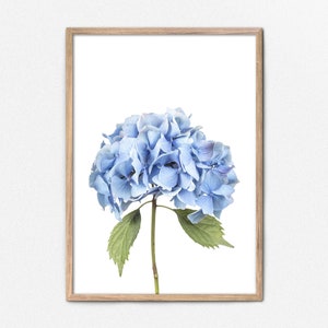 Blue Hydrangea Print, Printable Wall Decor Blue Flower Wall Art, Blue Hydrangea Photo Digital Download, Soft Blue Decor, Flower Photograph
