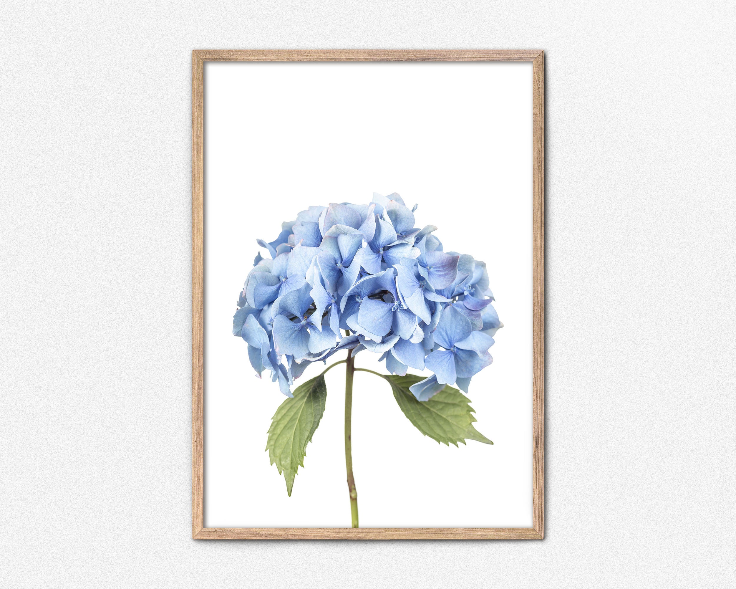 Blue Hydrangea Print Printable Wall Decor Blue Flower Wall - Etsy