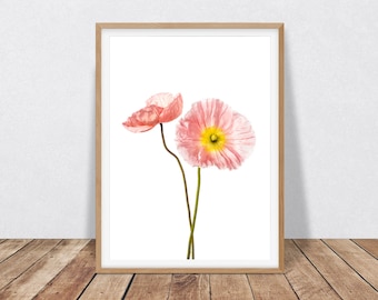 Poppy Art Digital Download - Minimalist Decor Poppy Print, Flower Wall Art Blush Pink Decor, Botanical Print Pink Poppies Flower Photograph