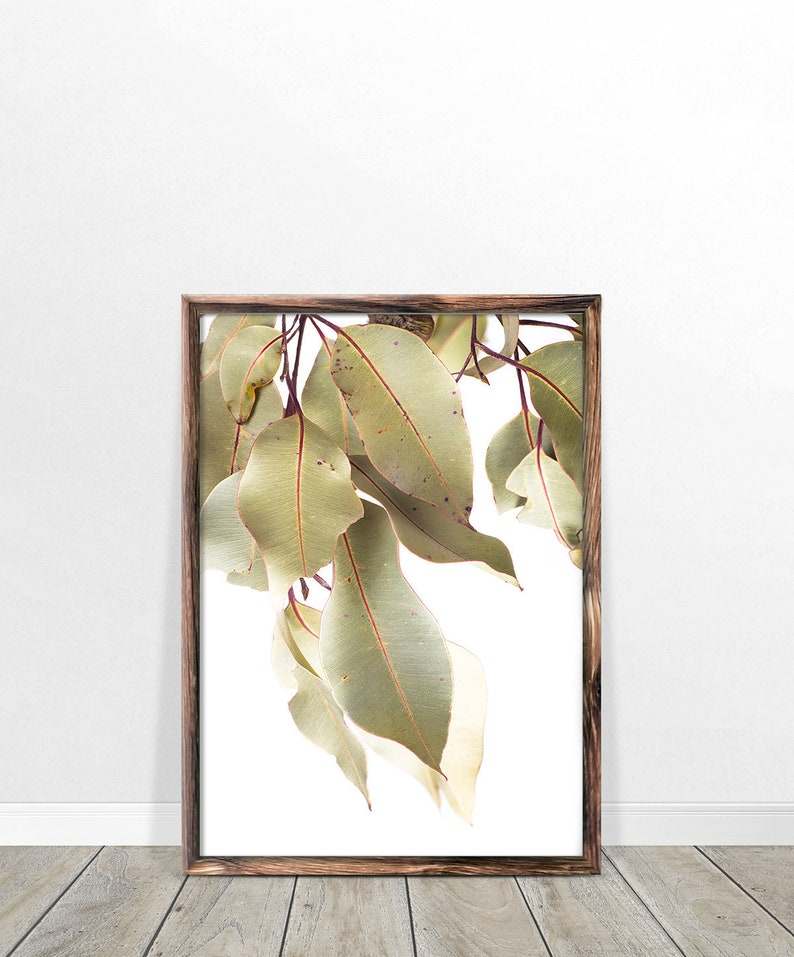 Printable Botanical Wall Art Eucalyptus Print Australian Etsy