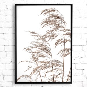 K&ouml;nnte beinhalten: Ein gerahmter Druck einer minimalistischen botanischen Illustration mit einem B&uuml;schel getrockneter Gr&auml;ser in Braunt&ouml;nen vor wei&szlig;em Hintergrund.