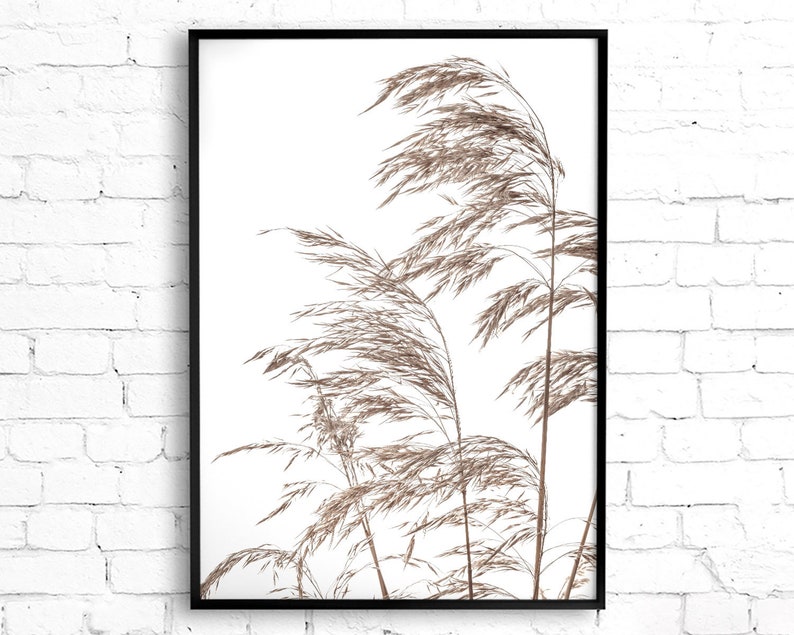 K&ouml;nnte beinhalten: Ein gerahmter Druck einer minimalistischen botanischen Illustration mit einem B&uuml;schel getrockneter Gr&auml;ser in Braunt&ouml;nen vor wei&szlig;em Hintergrund.