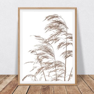May include: A framed print of a photograph of dried brown grass blowing in the wind against a white background.