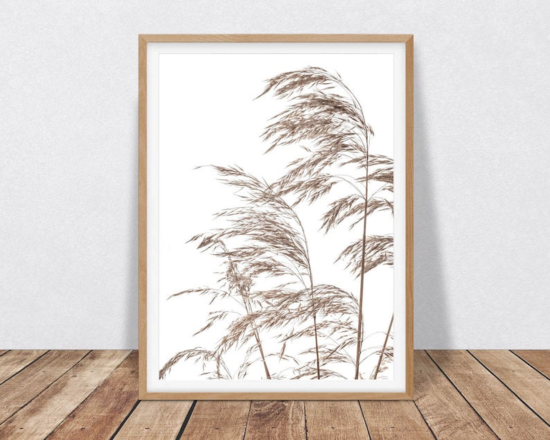 May include: A framed print of a photograph of dried brown grass blowing in the wind against a white background.