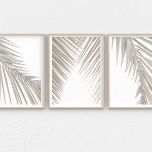 Palm Leaf Wall Art Printable 3 Piece Wall Art Set, Neutral Decor Downloadable Prints, Tropical Set of 3 Printable Palm Print Modern Coastal