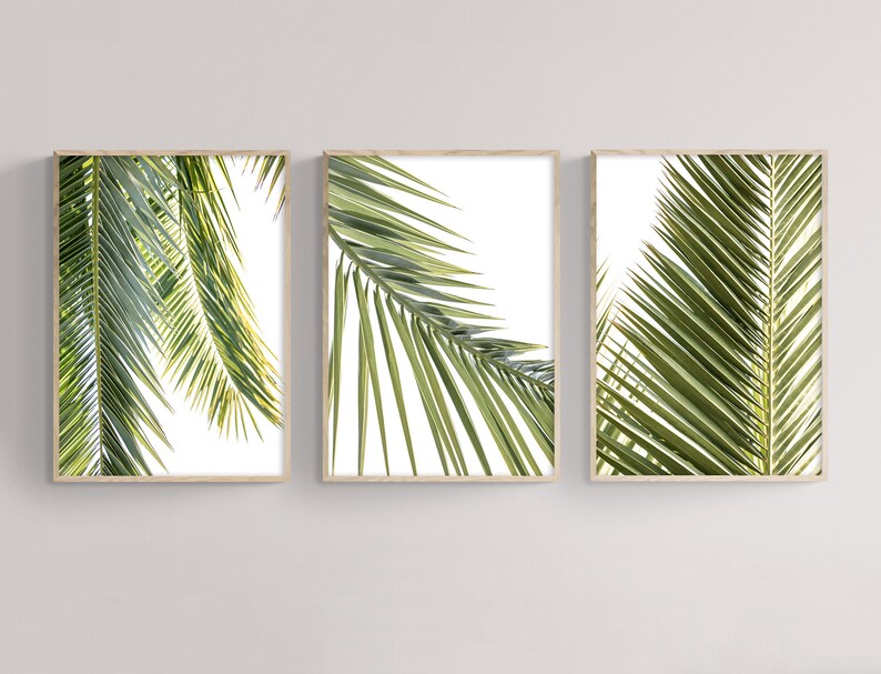 May include: Set of three framed prints featuring close-up images of palm tree leaves against a white background. The leaves are a vibrant green color and have a natural, organic texture.