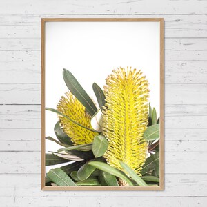 Op de afbeelding: Een ingelijste print van een gele bloem met groene bladeren tegen een witte achtergrond.