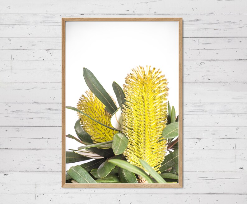 Op de afbeelding: Een ingelijste print van een gele bloem met groene bladeren tegen een witte achtergrond.