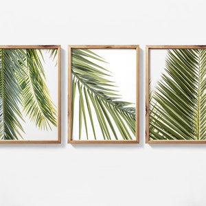 May include: A set of three framed prints featuring close-up images of palm tree leaves against a white background. The leaves are a vibrant green color and are arranged in a natural, organic pattern.