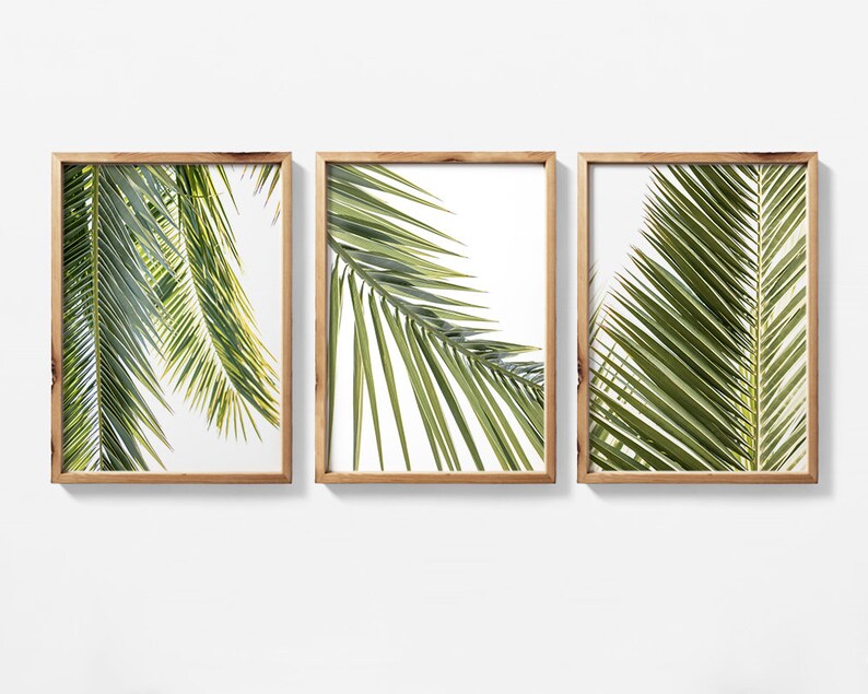 May include: A set of three framed prints featuring close-up images of palm tree leaves against a white background. The leaves are a vibrant green color and are arranged in a natural, organic pattern.