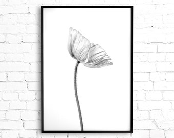 Poppy Flower Wall Art Black and White Photography - Poppy Art Digital Download, Botanical Print Poppies Flower Photograph, Minimalist Decor