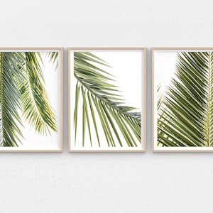 Modern Palm Tree Wall Art Printable 3 Piece Wall Art Set, Coastal Wall Art Downloadable Prints, Tropical Printable Palm Leaf Wall Art