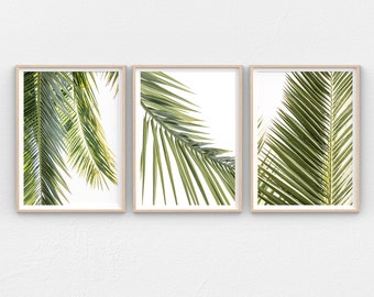 Arte mural moderno de palmeras (3 piezas) para imprimir, impresiones descargables de arte mural costero, arte mural tropical de hojas de palmera para imprimir.