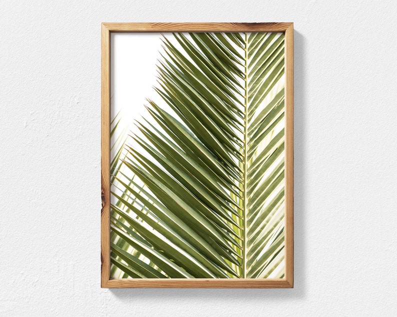 May include: A framed print of a close-up of a green palm leaf.