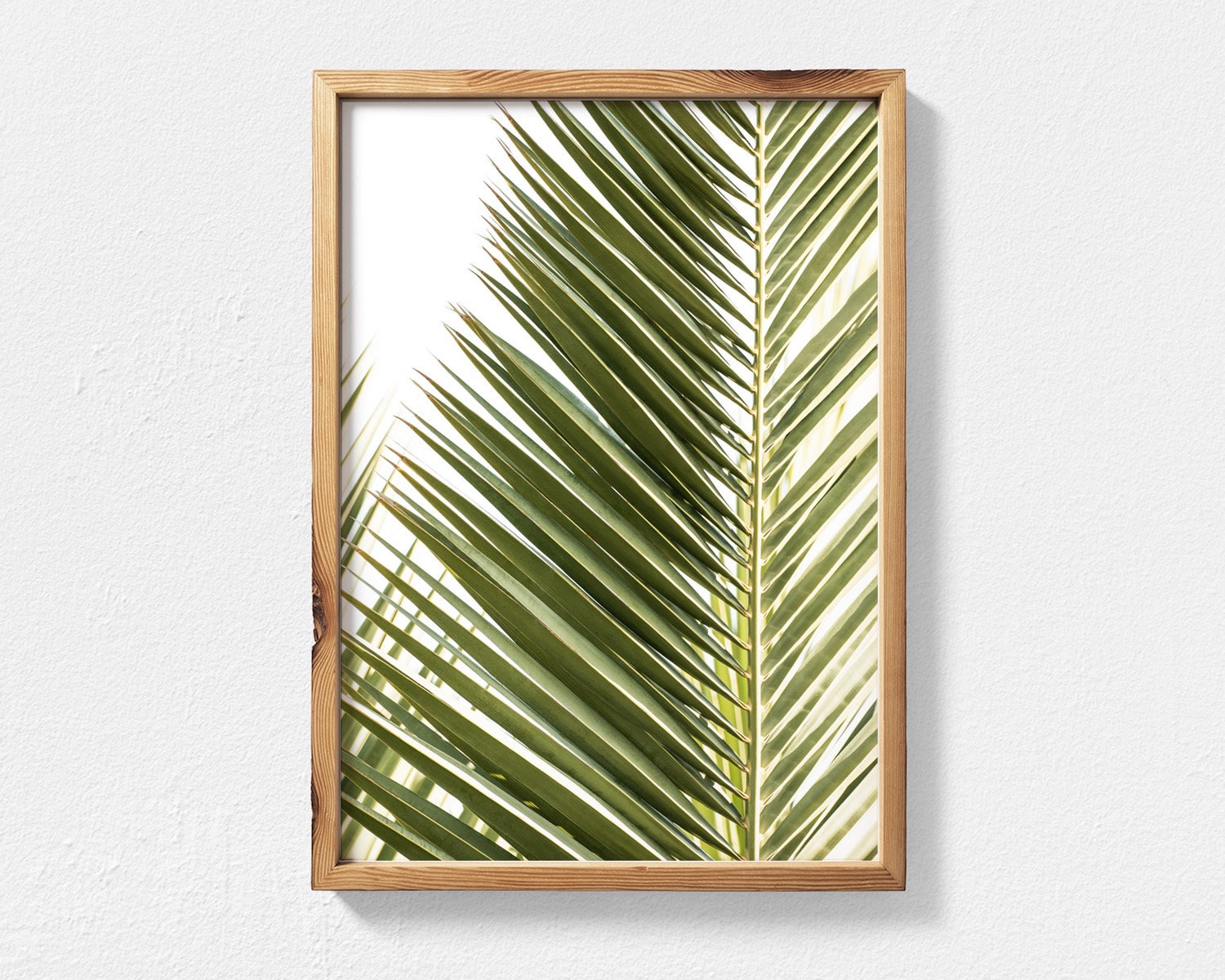 Modern Palm Tree Wall Art Printable 3 Piece Wall Art Set Etsy Australia