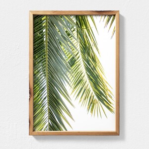 May include: A framed print of a close-up of palm tree leaves against a white background. The leaves are green and yellow and are arranged in a fan shape.
