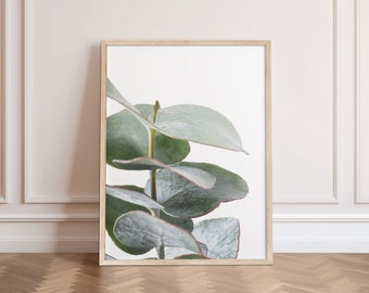 Eucalyptus Print, Australian Botanical Wall Art, Digital Download, Australian Native Photography Print, Printable Poster, Gum Leaf print