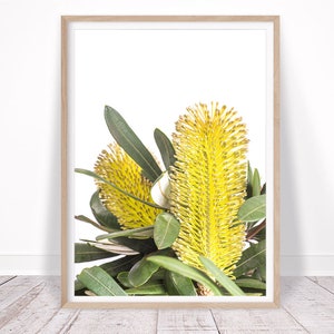 Op de afbeelding: Een close-up van een gele bloem met groene bladeren. De bloem is scherp en de achtergrond is wazig.