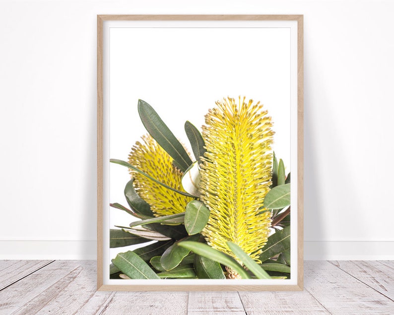 Op de afbeelding: Een close-up van een gele bloem met groene bladeren. De bloem is scherp en de achtergrond is wazig.