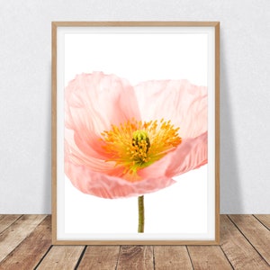 Flower Wall Art Coral Pink Decor - Poppy Art Digital Download, Botanical Print Pink Poppies Flower Photograph, Minimalist Decor Poppy Print