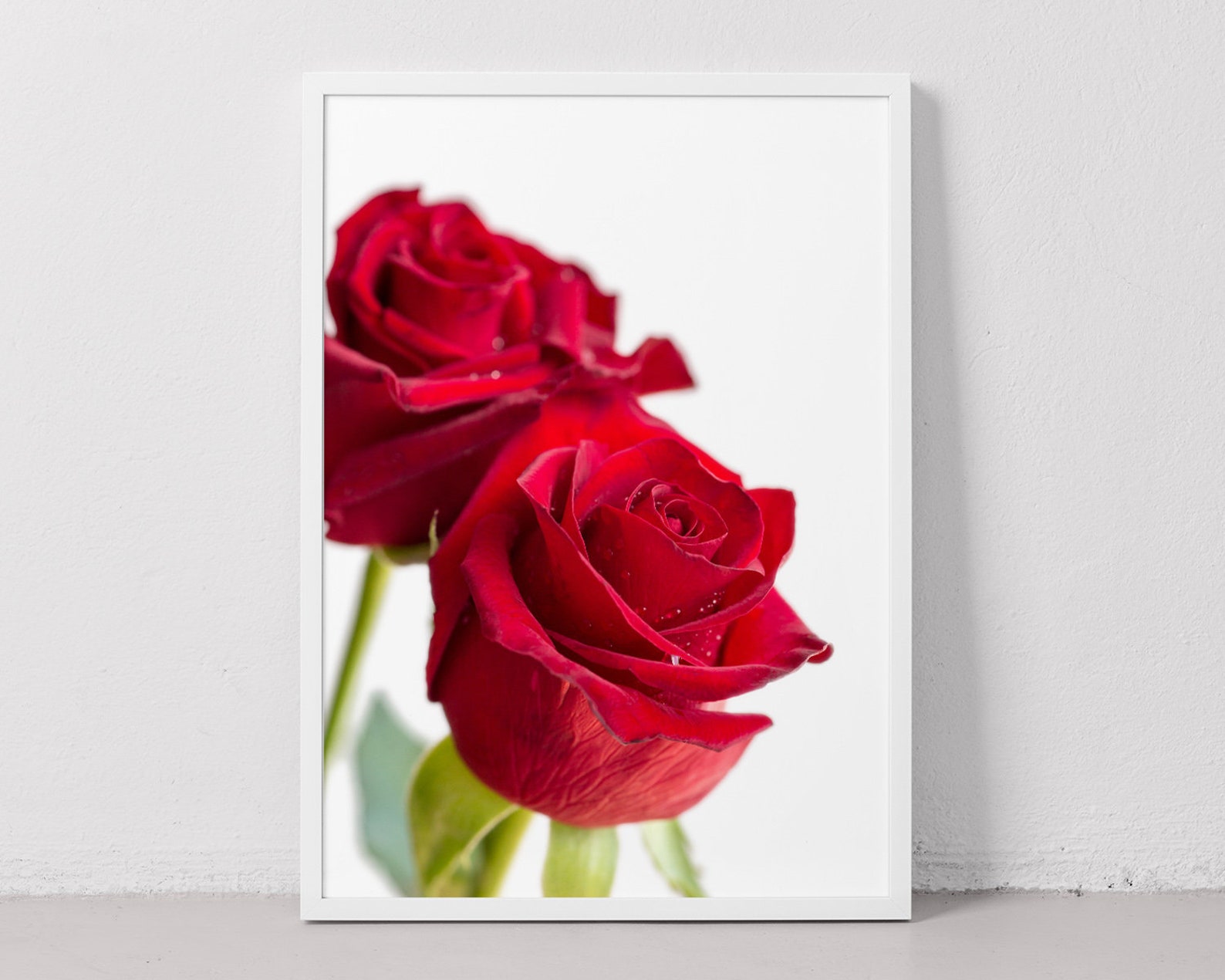 Red Rose Wall Art Printable Set of 2 Photographs, 2 Piece Wall Art ...