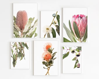 Australian Native Florals Set of 6 Prints, Botanical Wall Decor, Protea Flower Gallery Wall Set, Eucalyptus Printable Gallery Wall Art Set